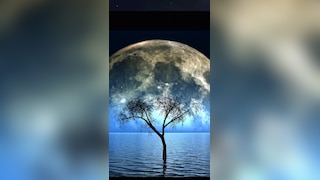 "देखो वो आ गया" करवा चौथ के चांद पर पढ़ें ये शायरियां