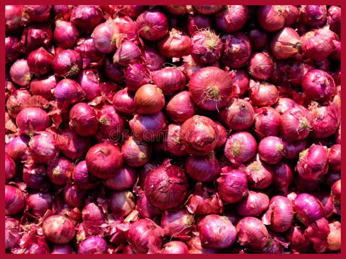 Onions and Garlic | Stop Food Waste