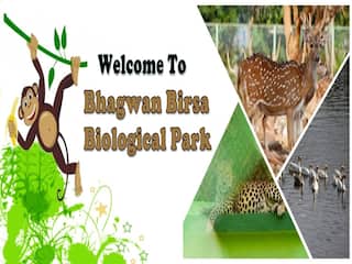 पूर्वी भारत का सबसे बड़ा Butterfly Park, आम जनों के लिए हो गया तैयार