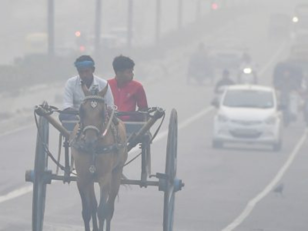 Amid Deteriorating Air Quality, Experts Share Sustainable Alternatives To Prevent Delhi’s Air Pollution