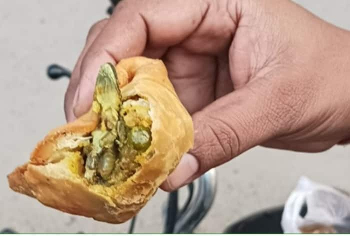 'Food From Hell': Hapur Man, Daughter Fall Sick After Dead Lizard Found In Samosa | WATCH