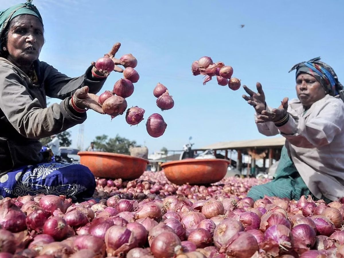 Why Are Onions Getting Expensive? Know Reason For Price Hike