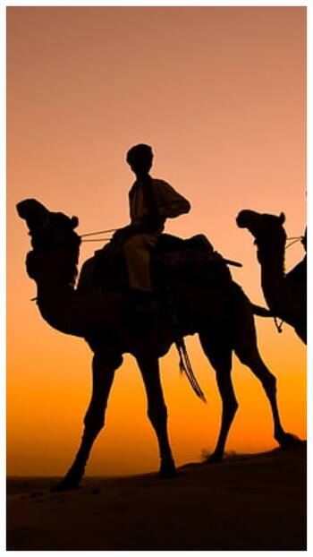 राजस्थान घूमने जा रहे हैं? इन 8 चीजों को खरीदना न भूलें