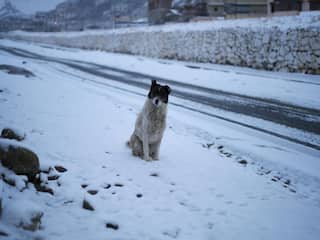 तस्वीरों में देखिए जम्मू-कश्मीर में Heavy snowfall का नजारा