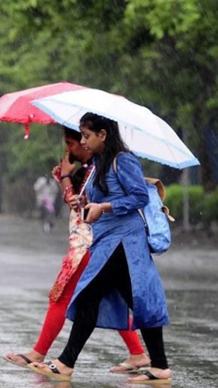 Tamil Nadu Weather Update: Heavy Rains Predicted These Districts