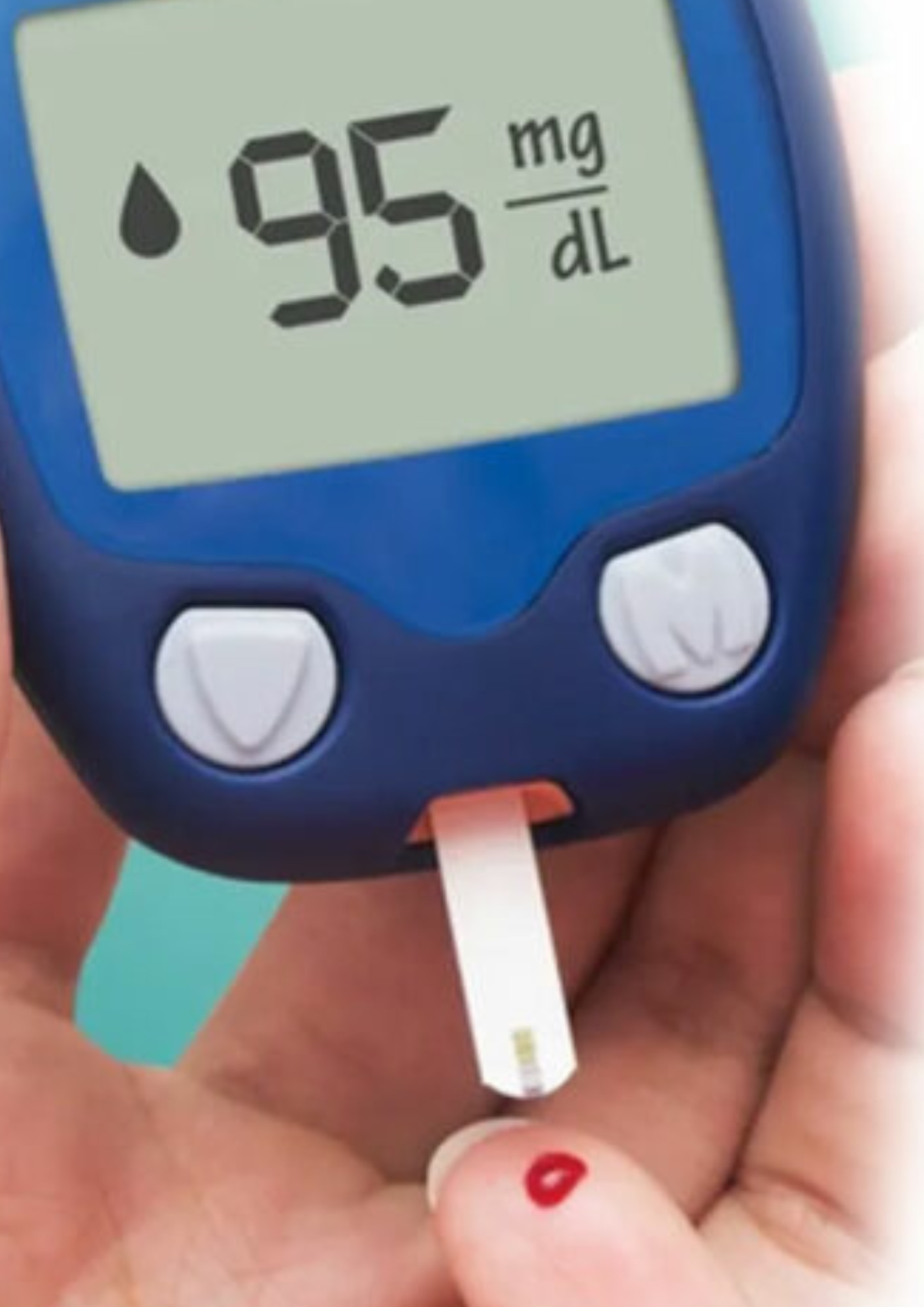 Top 9 Home Remedies For Blood Sugar Level