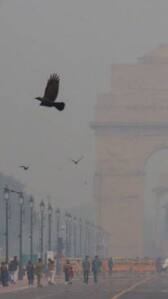 पर्यावरण की चिंता करना केवल कोर्ट का काम नहीं: Supreme Court