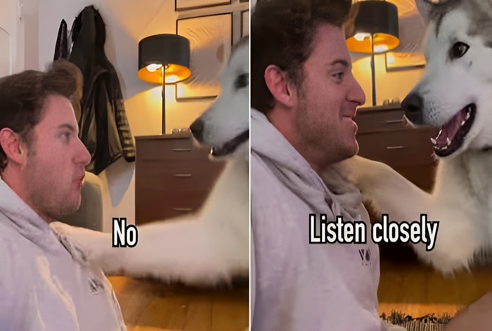 Viral Video Furry Pooch Attempts To Teach Pet Dad Woof Woof Language But