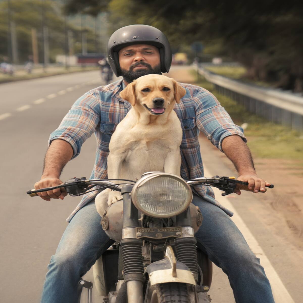 International Dog Day 2022: From Tuffy to Entertainment; 5 Dogs That Stole  the Limelight in Bollywood Movies - News18