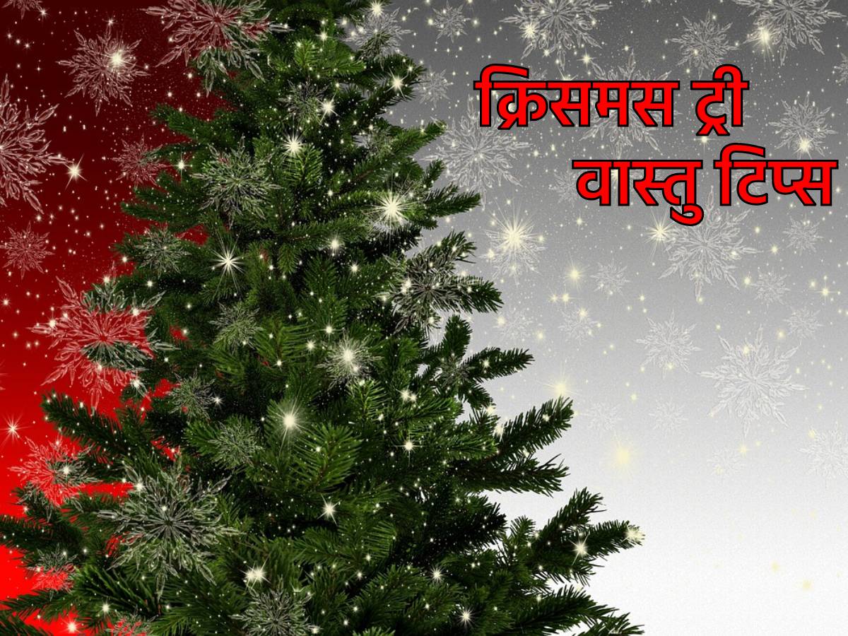 Christmas 2023 Vastu घर की इस दिशा में लगाएं क्रिसमस ट्री Christmas