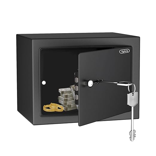 Lifelong Home Safe Locker with Key for Home