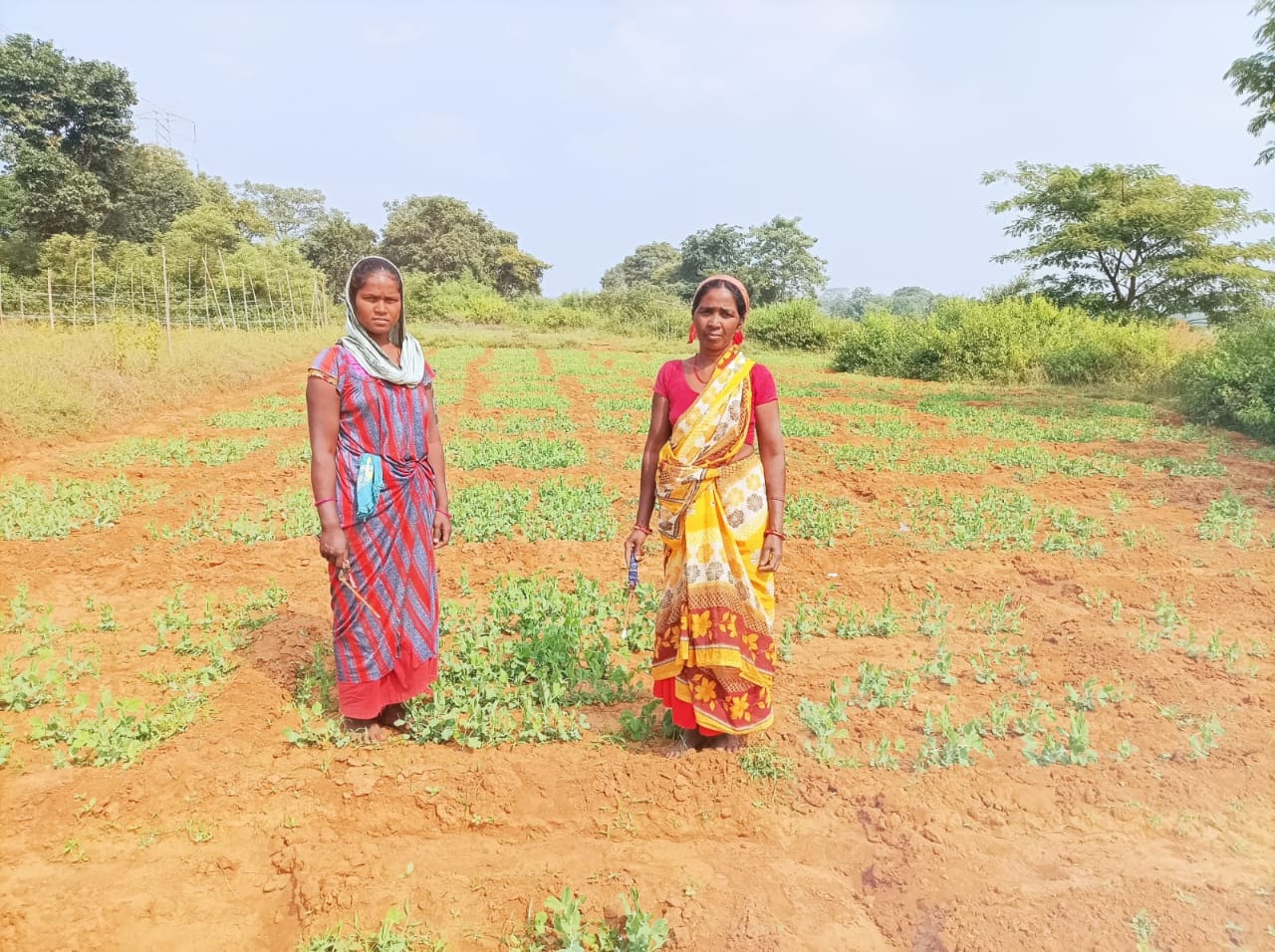 Mariyam Tudu, Woman Farmer From Jharkhand, Changes Lives Of Women In Her Village, Here’s How