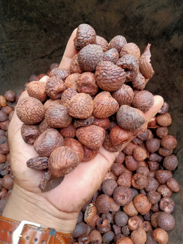 6 Amazing Benefits of Betel Nuts From Brain Health to Digestion