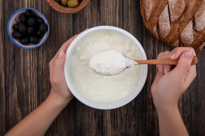 Curd Benefits: Is It Healthy to Have Dahi in Winter? Here's The Truth!