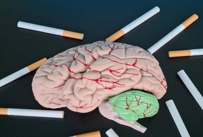 Not Just Lungs, Smoking Can Lead to Brain Damage, Says Study