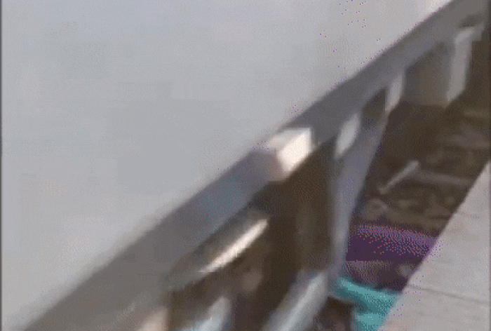 WATCH: Miraculous Escape For Bihar Woman, Her 2 Kids As Train Passes ...