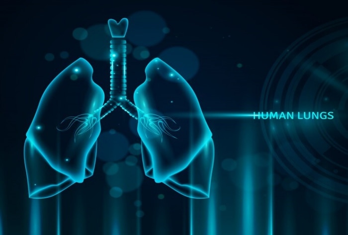 새로운 연구에 따르면 면역 체계가 어떻게 폐 건강을 향상시킬 수 있습니까?