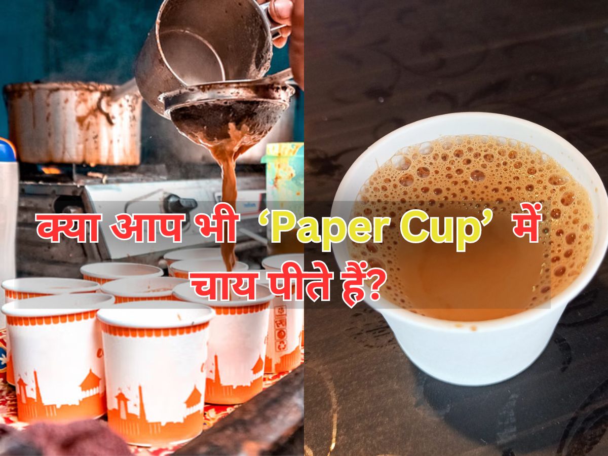 Paper Cup Side Effects पेपर कप में चाय पीना पड़ सकता है भारी, शरीर के लिए है खतरनाक!