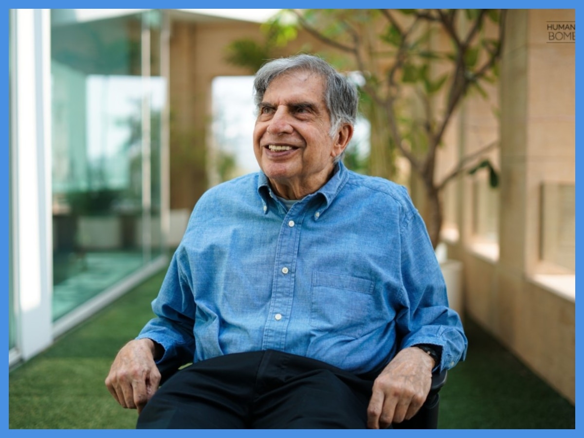 'Strict Instructions From Mr. Ratan Tata…' LinkedIn User's Post On ' Dogs In Taj Hotel' Goes Viral - Vimarsana News