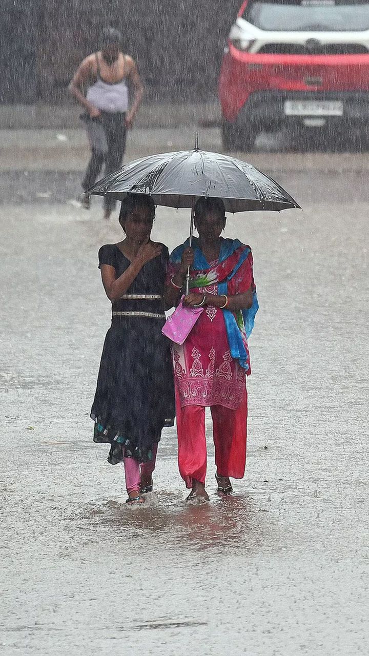 Tamil Nadu Weather Update: Heavy Rain Alert In Chennai Till Dec 4