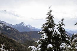 Uttarakhand Travel Diaries: From Dawn To Dusk At Dhanaulti, A 3 Day Itinerary To Explore the Hill Station