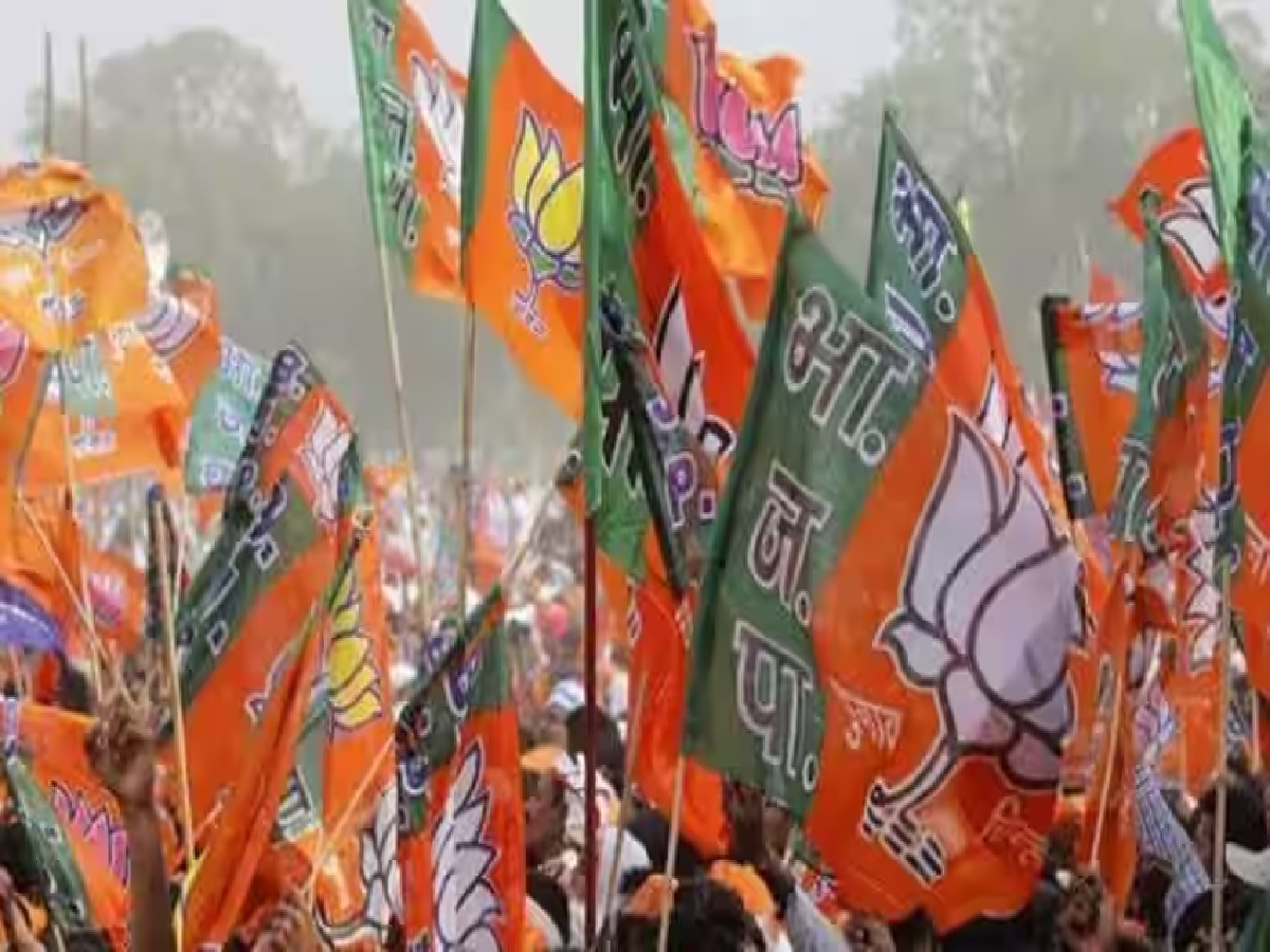 BJP Sweeps Autonomous Council Elections In Assam, Wins 27 Of 28 Seats