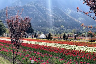 Exploring Himalayas: A Visit To The Winter Wonderland of Kashmir in India