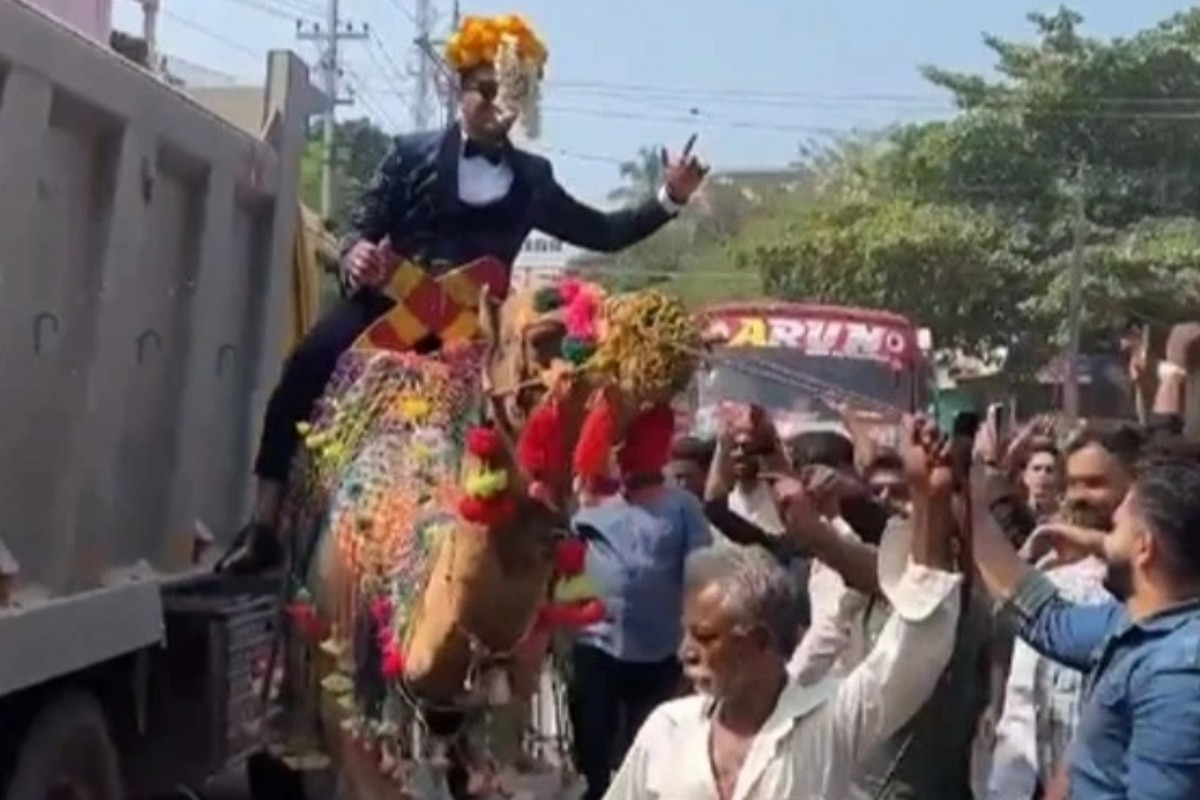 Groom Rides Camel To Wedding Venue In Kerala’s Kannur, Gets Booked By Police