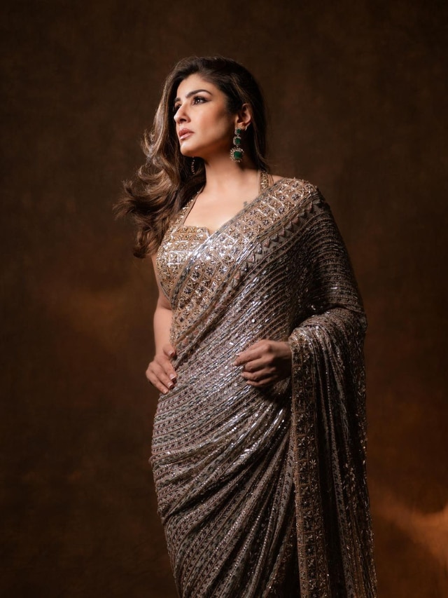 Raveena Tandon Golden Embroidered Saree | Zeenat Style