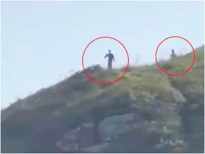 Alien Alert: 10-Foot-Tall Strange Beings Spotted Walking On Brazilian  Island | VIDEO