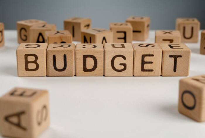 Budget 2024: Explaining Budget And Related Financial Terms For Students