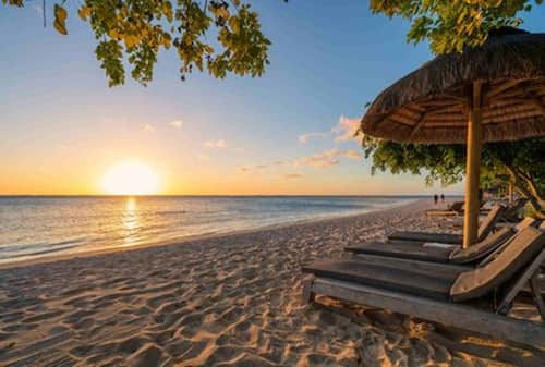 Is Alcohol Allowed In Lakshadweep? Things You Should Know About Booze Sale, Its Availability
