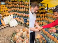 WATCH: Rahul Gandhi Stops For A Pineapple Treat In Meghalaya, Calls Them 'Best In The World' But...