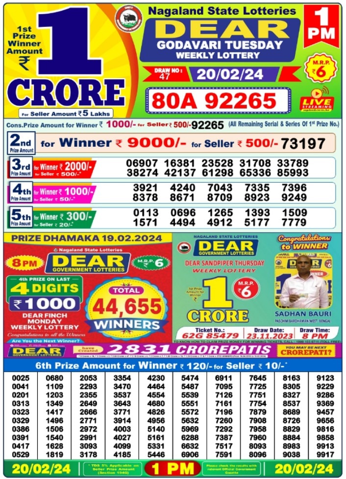 Nagaland State Lottery Result: February 25, 2024, 4 PM Live - Watch  Streaming Of Winners List Of Dear 100 Plum Sunday Weekly Lucky Draw
