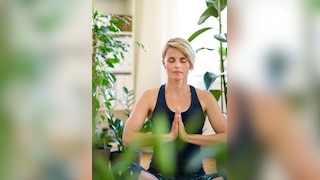 7 Aromatic Plants for Serenity and Calm