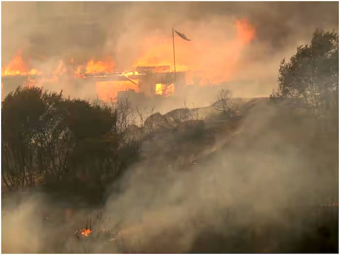 chile forest fire