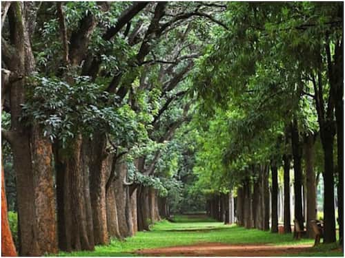 Bengaluru: Traffic Ban Inside Cubbon Park Reversed On These Days