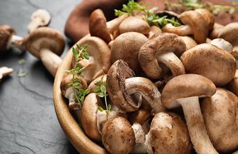 What Does Eating Mushroom Do To Your Body?