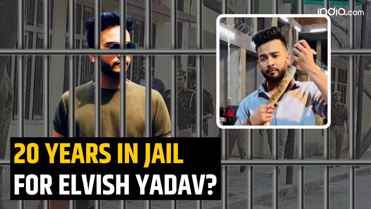 Elvish Yadav arrested: Upto 20 years in jail if proven guilty in rave ...