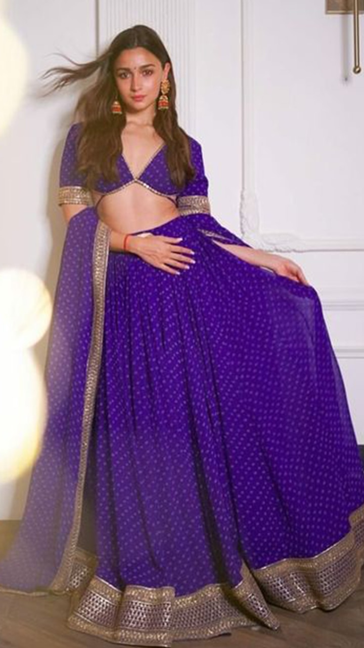 Purple Silk Lehenga with all over checks and big border paired with  matching blouse and pure Patola dupatta - Project Ekam