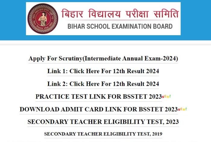 BSEB Bihar Board 10th Result 2024: Scrutiny Process Starts Soon; How To Apply For Re-checking