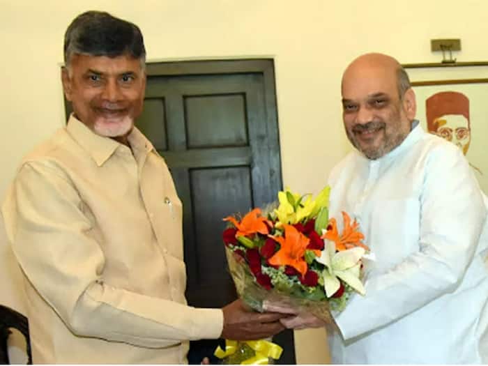 BJP Seals Deal With TDP And JSP In Andhra; To Contest In 6 Lok Sabha Seats, 10 In Assembly Polls