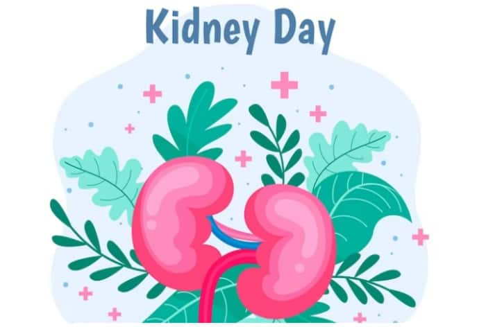 World Kidney Day: 5 Everyday Habits to Lower Risk of Renal Failure