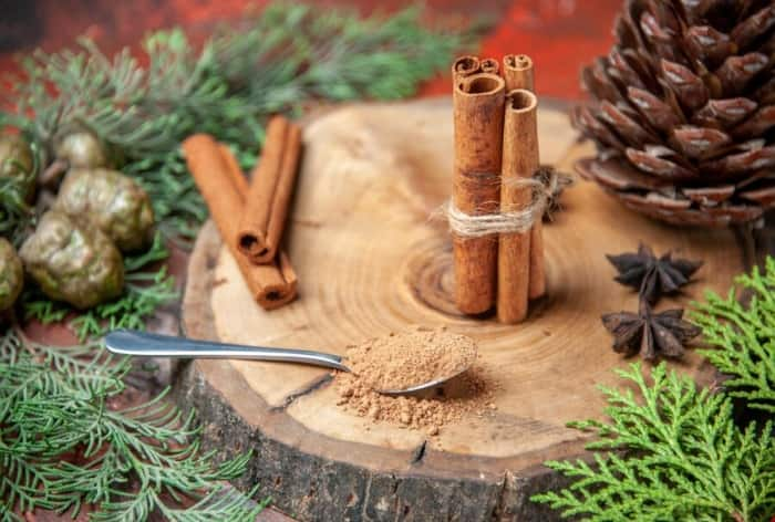 Cinnamon For Women: 5 Reasons Why This Spice is Important Addition in Regular Diet