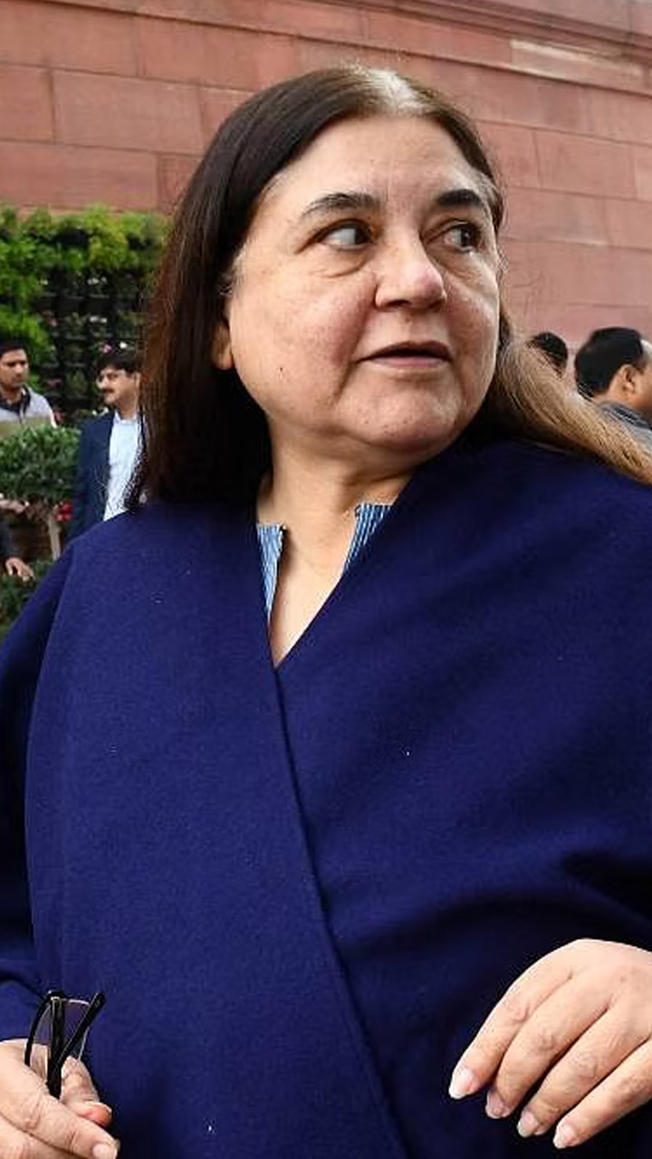 Lok Sabha Elections 2024: 5 Facts About Maneka Gandhi, BJP Candidate ...