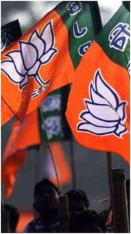 Lok Sabha Elections 2024: BJP To Contest 17 Seats, JD(U) 16