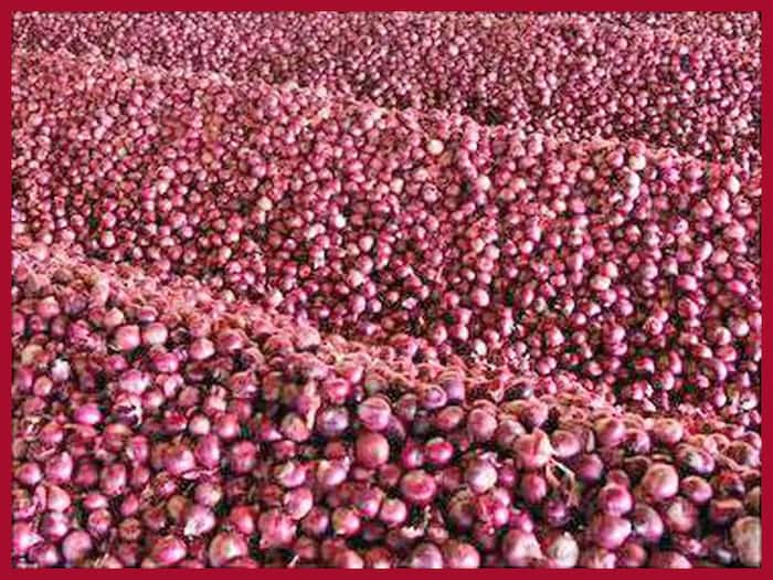 Centre Permits Export of Onion To Bangladesh And UAE But With THESE Riders