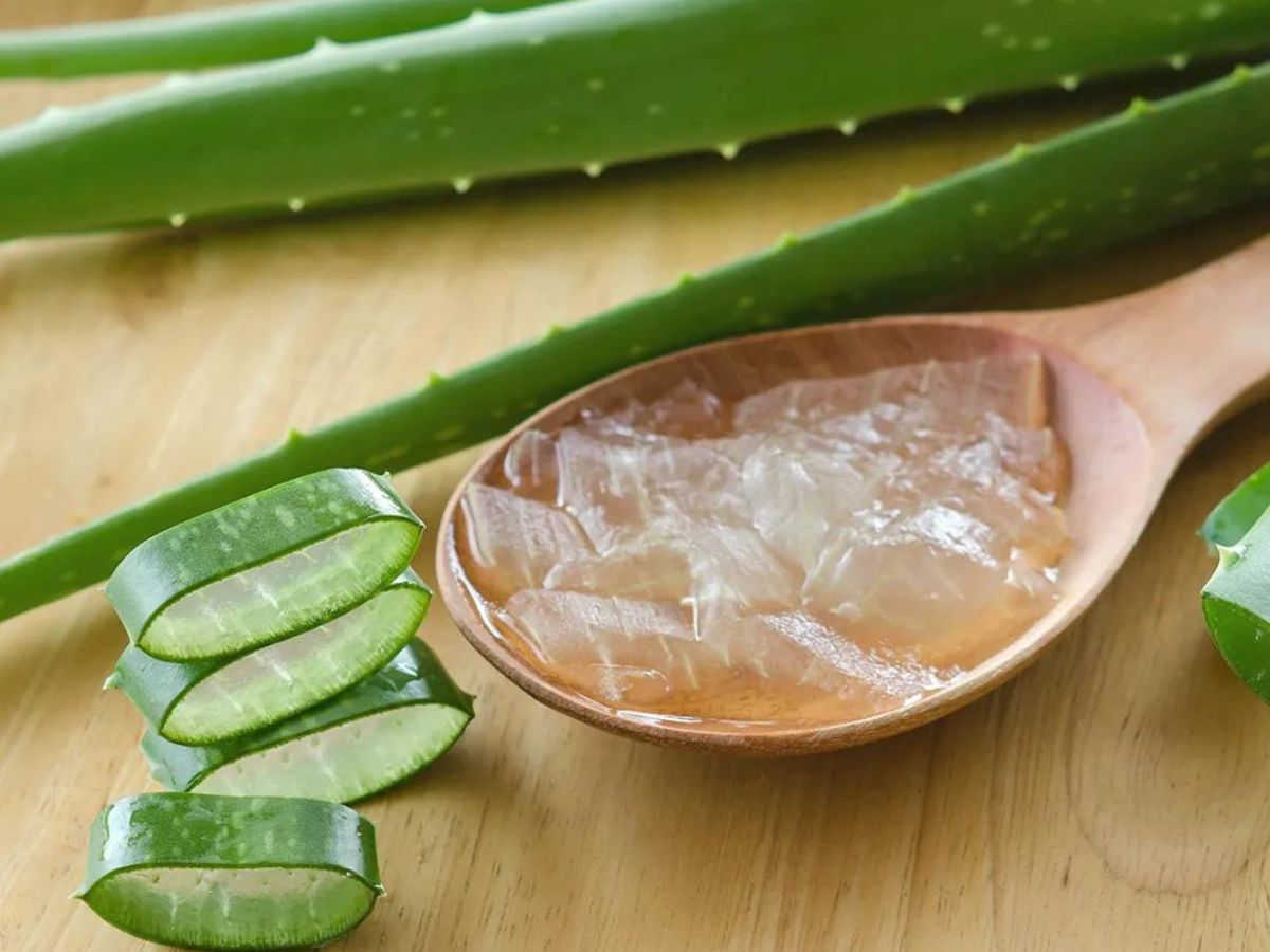 Aloe Vera Recipe