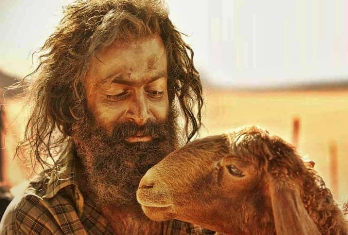 Aadujeevitham: The Goat Life Controversy: Director Blessy Breaks ...