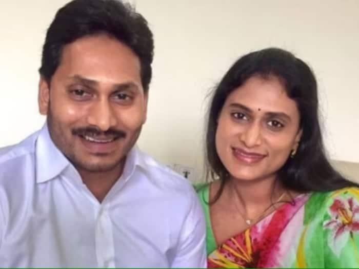 LS Polls: AP Congress Chief Sharmila Declares Assets Worth Rs 168 Cr; Owes Rs 82 Cr To Brother Jagan